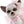 22400 Rita Reborn Chihuahua Pink Outfit