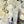 Dandelion 2Pc Peter Rabbit Outfit