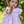 Deolinda Pink Cherry Dress DBV25402