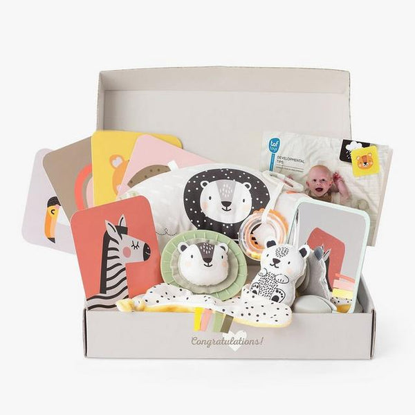 Taf Toys Newborn Kit