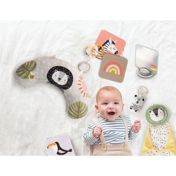 Taf Toys Newborn Kit