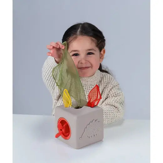 Taf Toys Pop Up Tissue Box