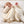 Mamas & Papas Welcome to the World Duckling Beanie Soft Toy