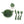 Roma RHS 10 Piece Accessory Set - Fern