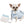 Reborn Chihuahua Pink Or Blue Spanish Classic