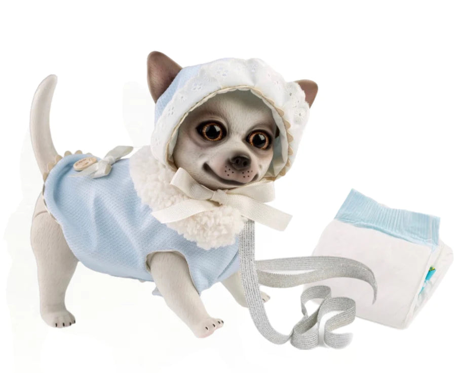 Blue and best sale white chihuahua