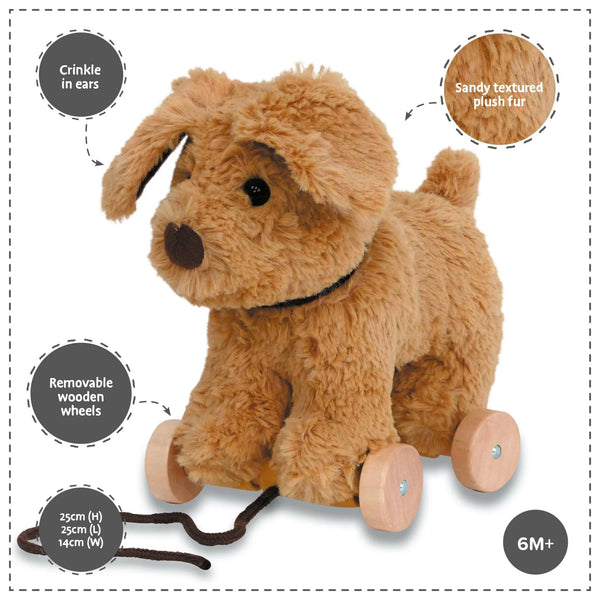 Dexter Dog Pull Along Toy