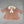 Pex Mara 2Pc Dress And Coat Set