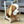 Peanut Pup Baby Walker / Push Along Dog
